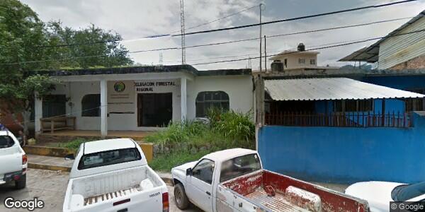 DELEGACIÓN FORESTAL REGIONAL IX COSTA